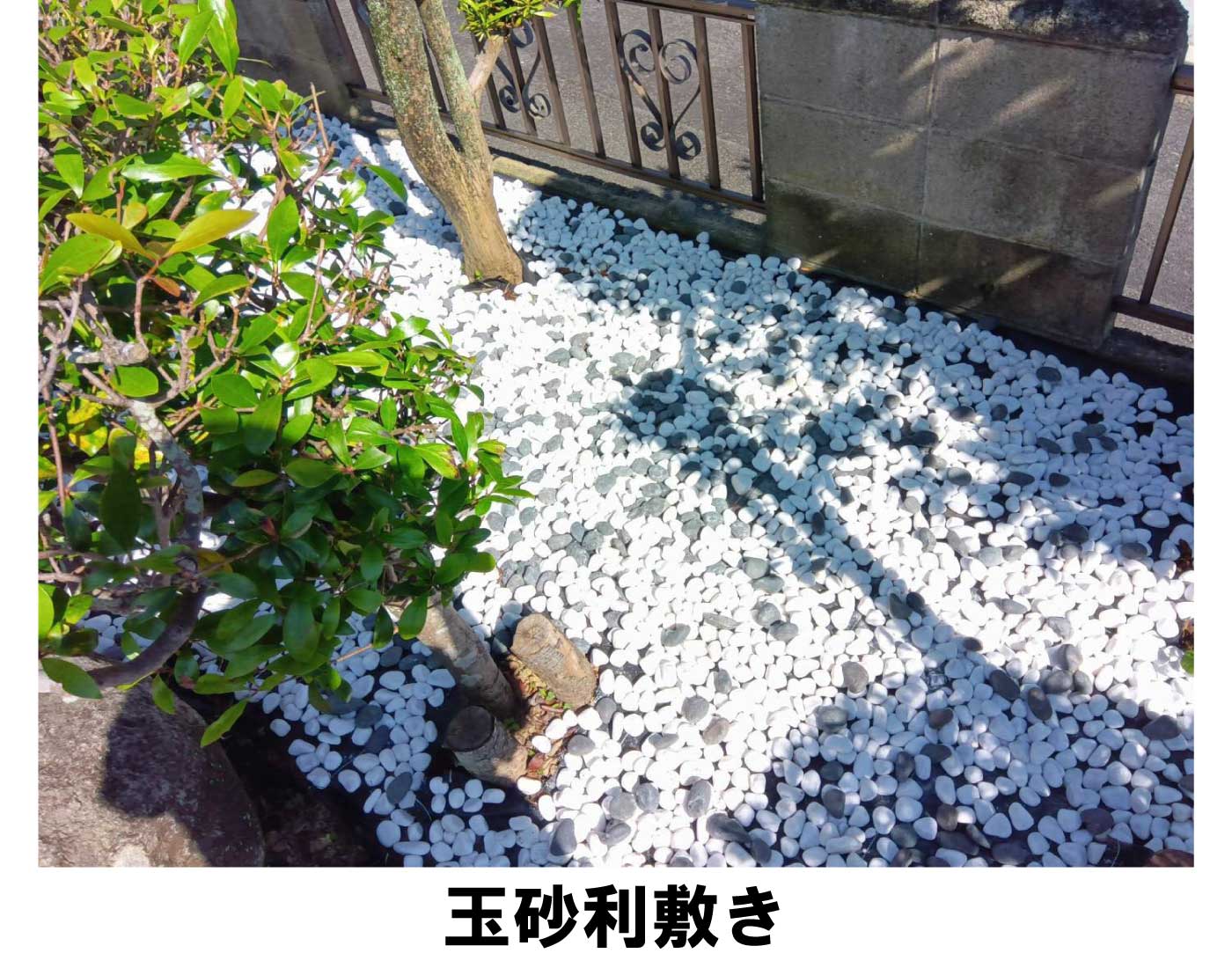 玉砂利